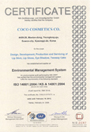 ISO 9001:2009 img