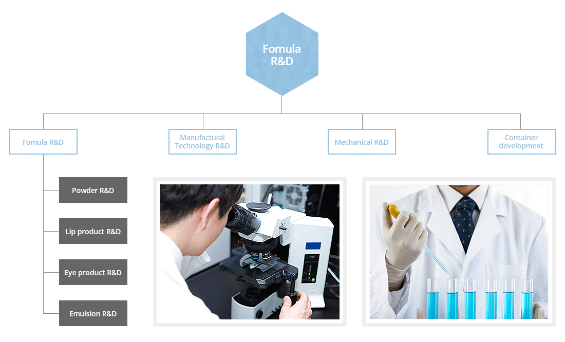 R&D Organization